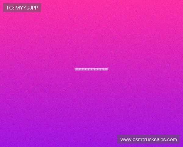 速盈网站登录入口详解，助您轻松注册与登录过程